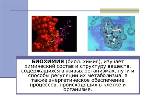 Биохимия: роль молекул в живых организмах