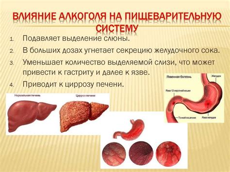 Благотворное действие на пищеварительную систему