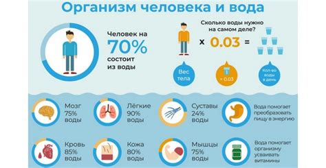 Близость источников пищи и воды