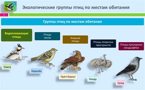 Близость к природным местам обитания