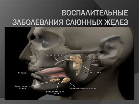 Блокировка слюнных желез