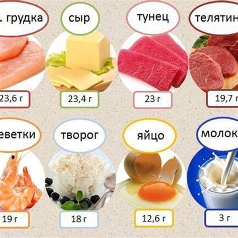 Блюда и продукты в рационе питания