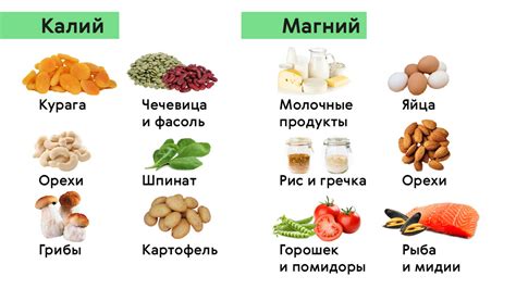 Богатые калием продукты