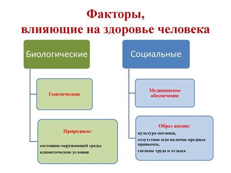 Болезненные факторы, влияющие на кончик хвоста