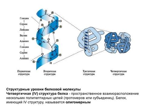 Болезни, связанные с нарушением водородных связей в организме