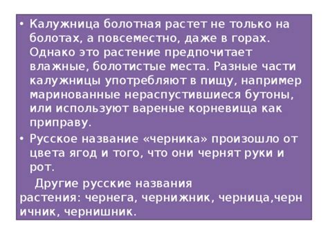 Болотистые зоны как потенциальное место обитания