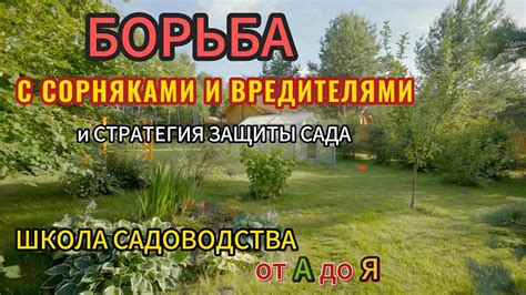 Борьба с сорняками и вредителями