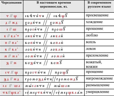 Буква в математике: что она означает?