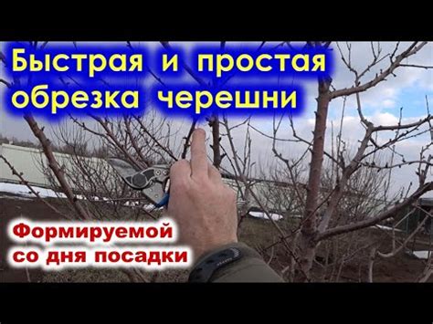 Быстрая и простая обрезка