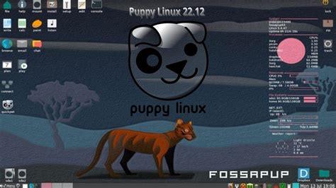 Быстрая работа Puppy Linux на флешке