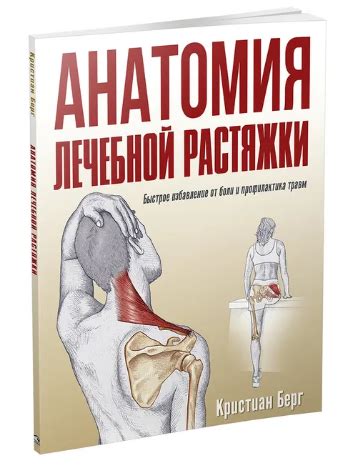 Быстрое избавление от живота и боковых жиров в клинике "Прекрасная форма"