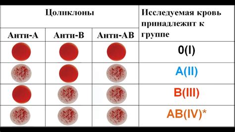 Быстрый способ определения группы крови