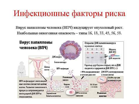 ВПЧ 31: последствия и осложнения