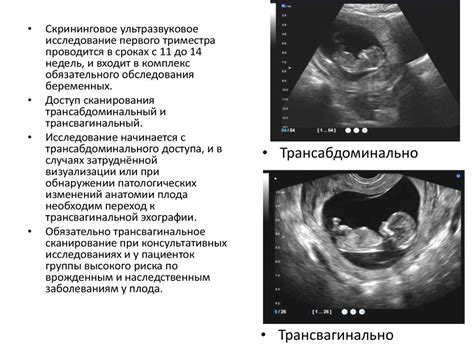 Важность анализа крови в первом триместре беременности