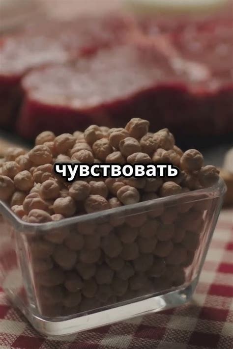 Важность белка для нашего организма