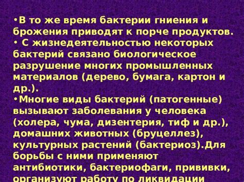 Важность борьбы с исчезновением бактерий гниения