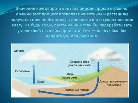 Важность воды для размножения