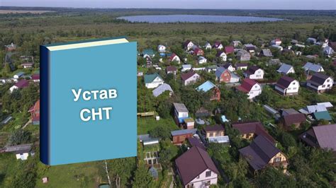 Важность выбора правильных семян для огородничества и садоводства