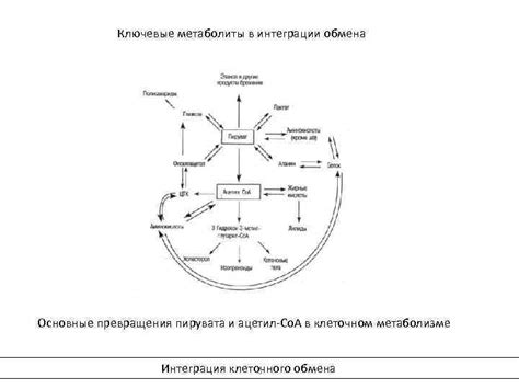 Важность в клеточном метаболизме