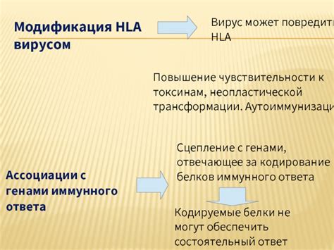 Важность знания о HLA 1 и 2 в медицинской практике