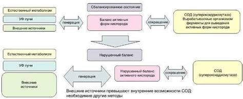 Важность концентрации кислорода