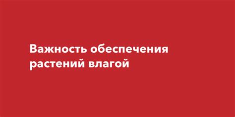 Важность обеспечения приватности