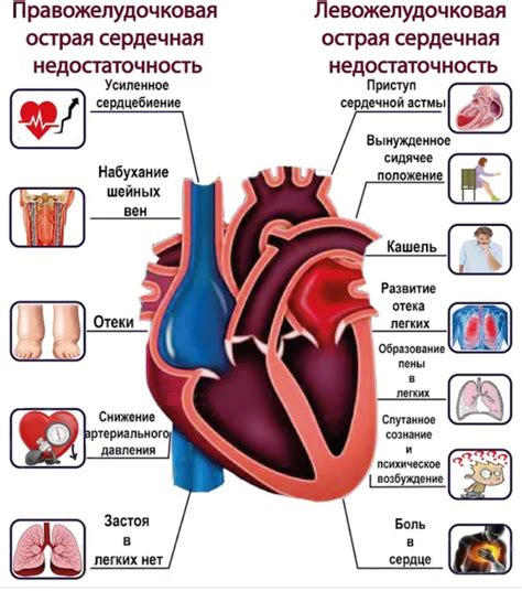 Важность обследования и диагностика