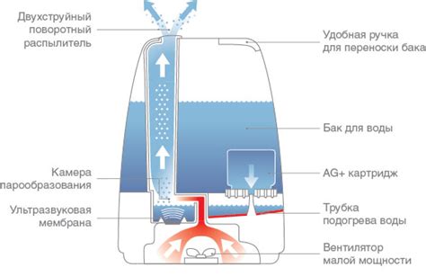 Важность поддержания влажности воздуха