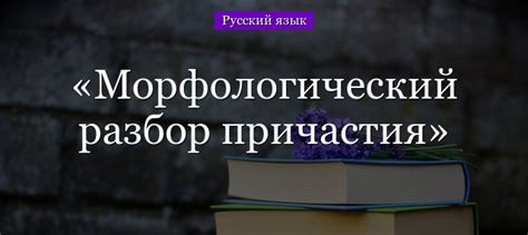 Важность понимания возвратности в морфологическом разборе причастия для изучения русского языка