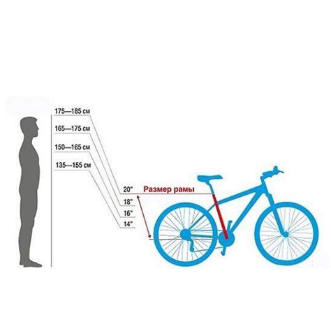 Важность правильного подбора велосипеда по росту