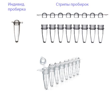 Важность правильной выборки для эффективной ПЦР