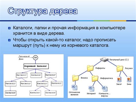 Важность правильной структуры файлов и каталогов