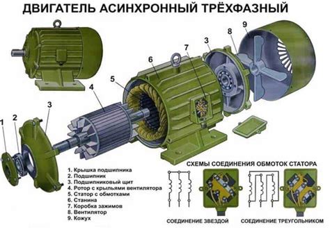 Важность правильной эксплуатации электродвигателя в лесной отрасли