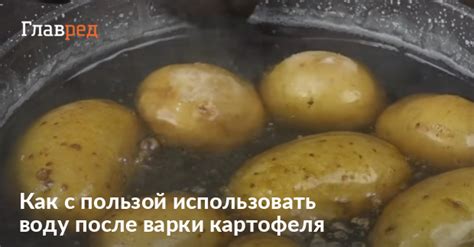 Важность предварительного варки картофеля