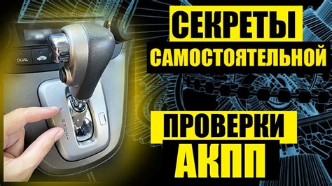 Важность проверки директора перед сотрудничеством