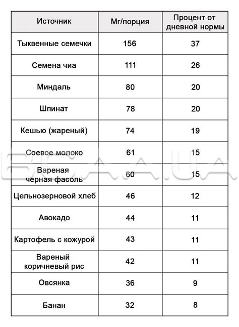 Важность проверки уровня магния в организме