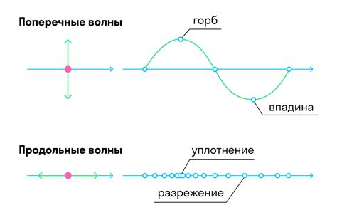 Важность продольных волн