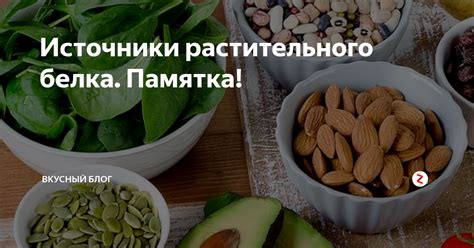 Важность растительного белка для организма