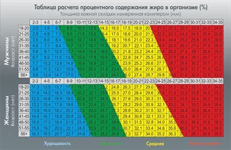 Важность регулярного контроля процента жира в организме женщины