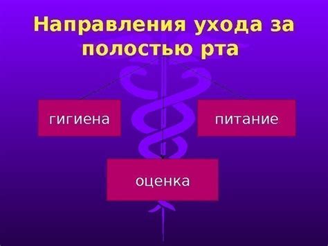 Важность регулярности ухода за полостью рта