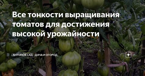 Важность своевременного обрезания для достижения максимальной урожайности