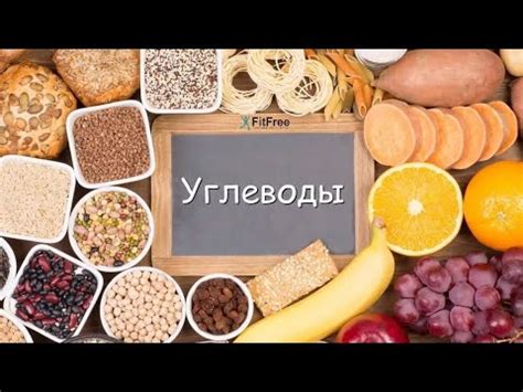 Важность углеводов для организма