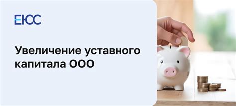 Важность уставного капитала для бизнеса