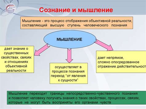 Важность философии в развитии мышления