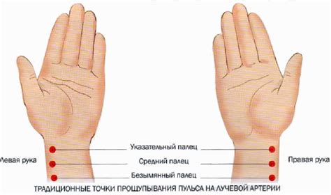 Важные аспекты измерения пульса на руке