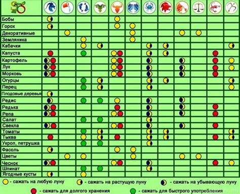 Важные аспекты посадки культур после перца