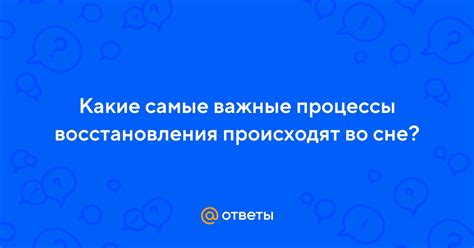 Важные детали во сне о заключенном