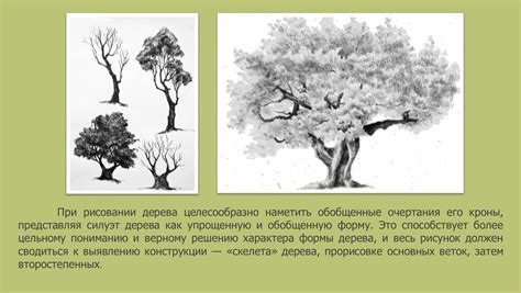 Важные детали при рисовании дерева