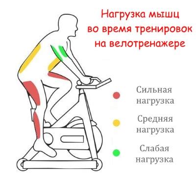 Важные моменты безопасности при тренировке на велотренажере