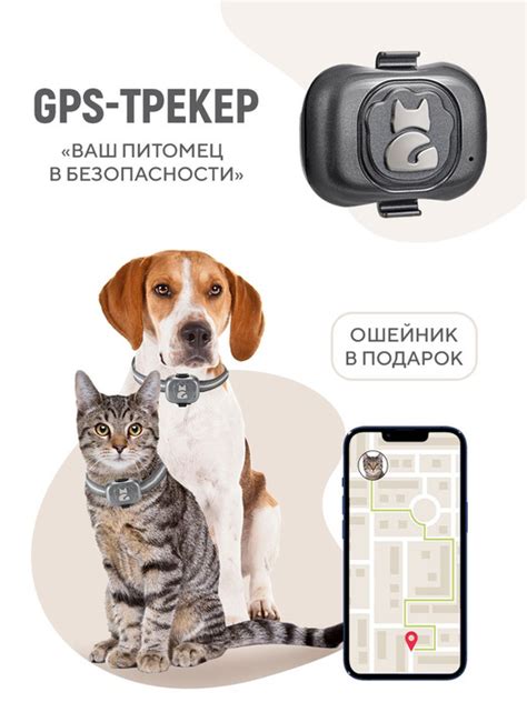 Важные советы по использованию GPS трекера для животных